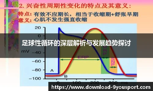 足球性循环的深层解析与发展趋势探讨